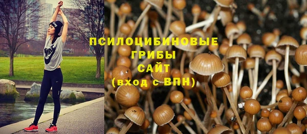 таблы Дмитриев