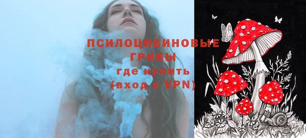 таблы Дмитриев